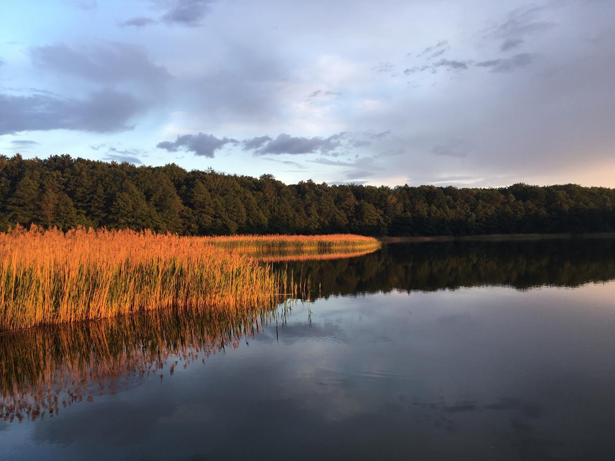 Stajnia Sarnowek Nad Jeziorem Rozany Rozajny Wielkie Exterior photo